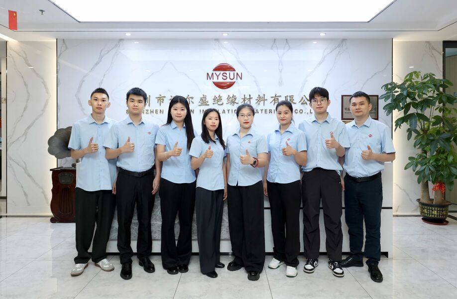 Китай Shenzhen Mysun Insulation Materials Co., Ltd. Профиль компании