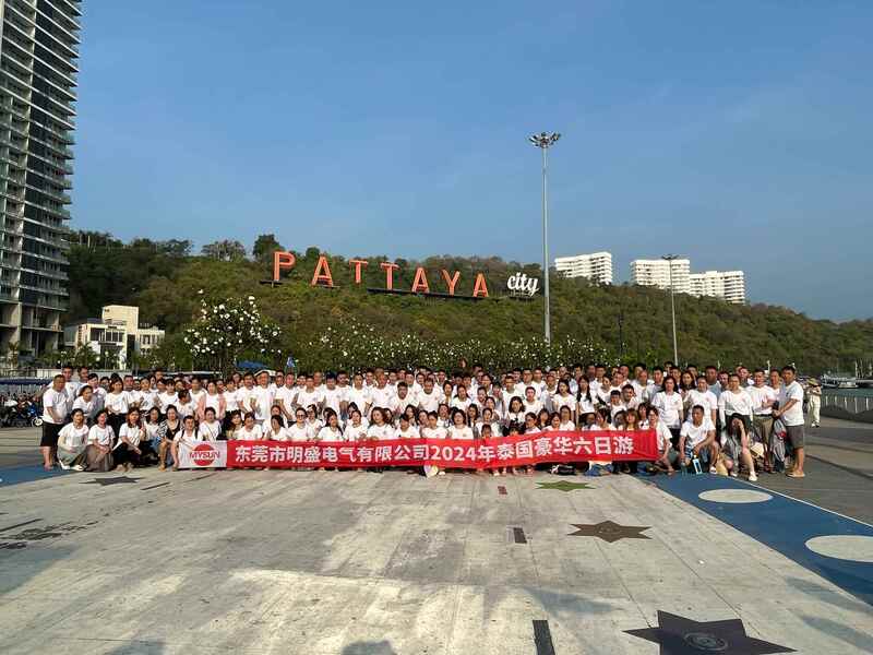 Китай Shenzhen Mysun Insulation Materials Co., Ltd. Профиль компании