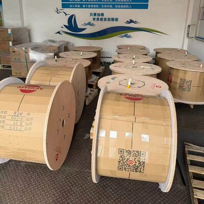 EV 125C 1500V XLPE Shield Wire with Tinned Copper Conductor for Solar Battery Systems (2.5MM2 to 240MM2)